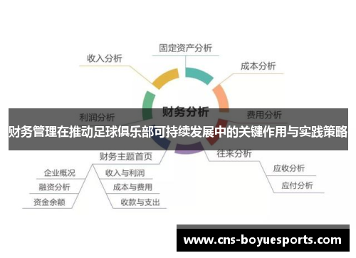 财务管理在推动足球俱乐部可持续发展中的关键作用与实践策略 财务管理在推动足球俱乐部可持续发展中的关键作用与实践策略